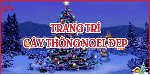 Dịch Vụ Trang Trí  Cây Thông Noel Đẹp